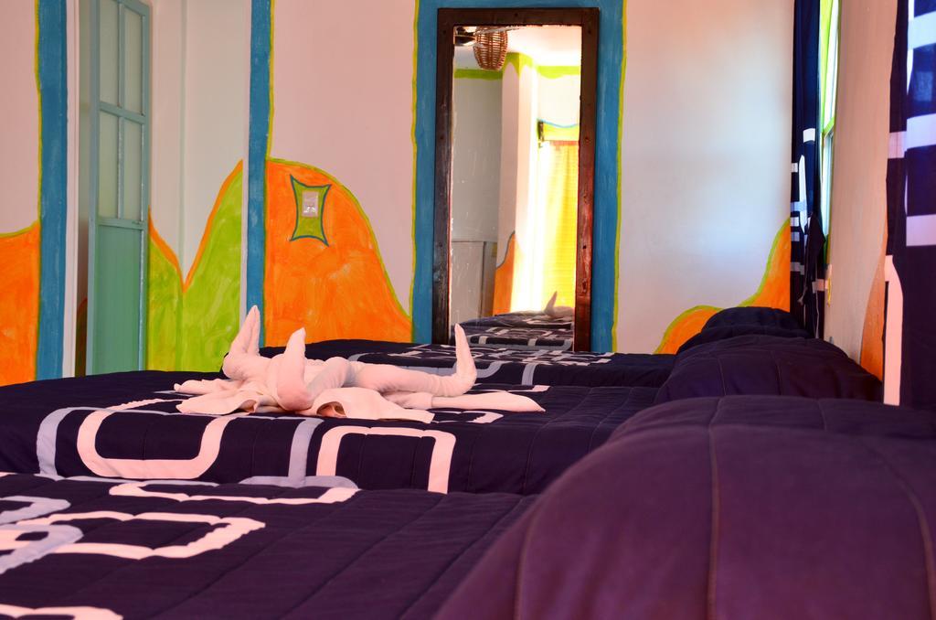 Adventure Experience Hotel Playa del Carmen Bagian luar foto